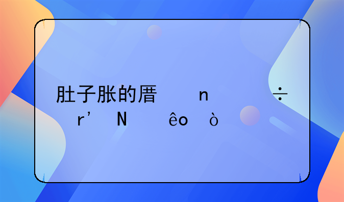 肚子胀的原因都有哪些？